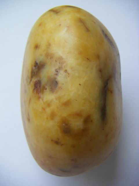 �Ļ�ʯ